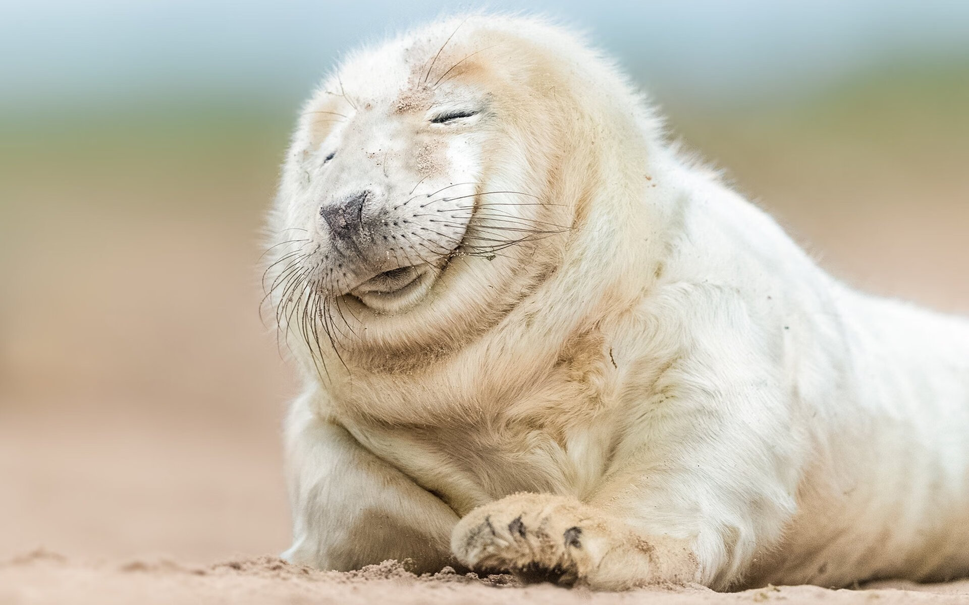 唯一的胜利，王皓绝境高光终结德国心魔