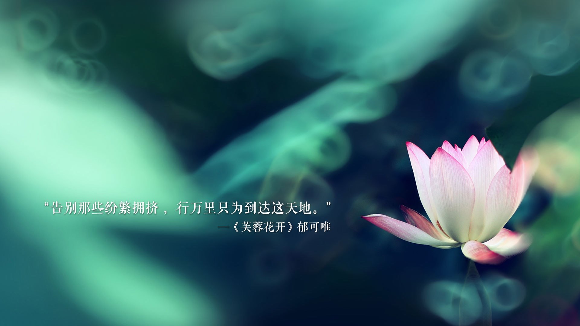 从迪亚斯到体系碾压,勒沃库森的全面压制映照中国足球的认知鸿沟