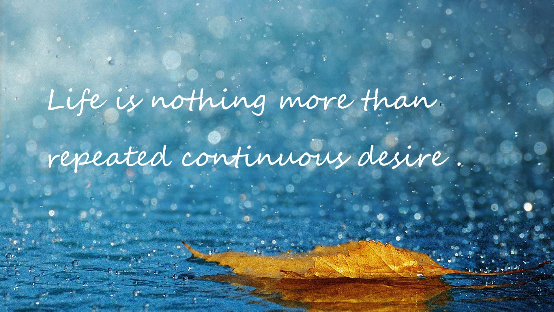 黄蜂对阵上海队深度解析，浓眉如何化身节奏大师，串联全队攻防两端？