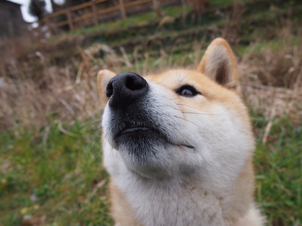 节奏掌控的艺术，从摩洛哥到智利，解码意甲焦点战的胜负关键