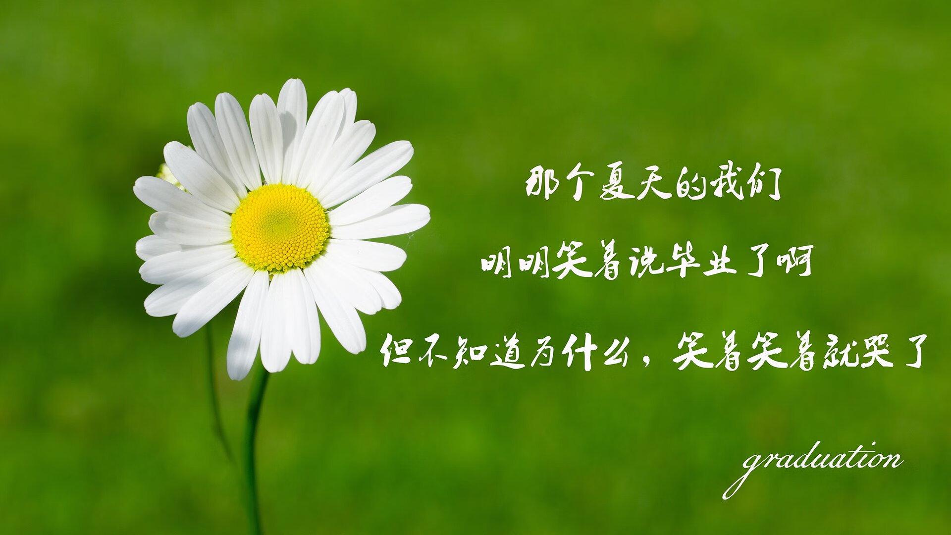 当布克成为西甲国家德比之夜关键词，一场美丽误会的体育启示