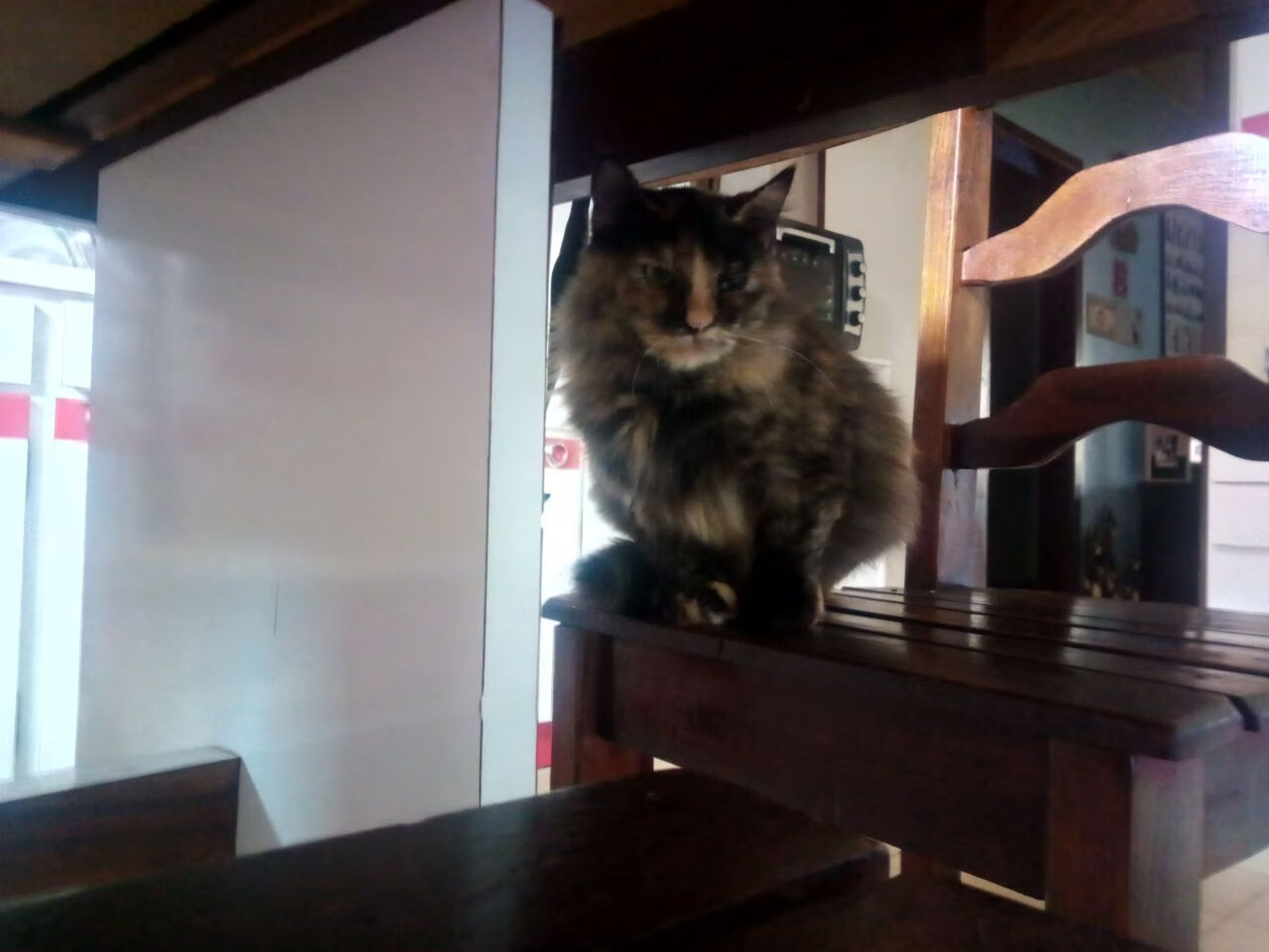 胜负手的错位，当小贾伦·杰克逊搅局骑士与湖人之战