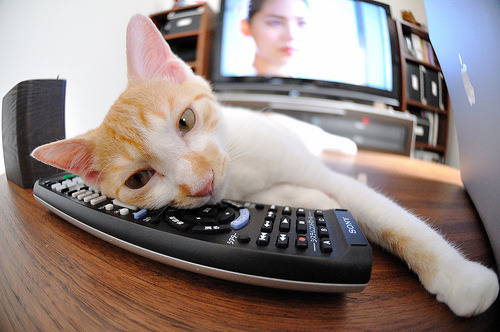 夜神诞生，劳塔罗如何以独有的统治性节奏定义年度焦点之战