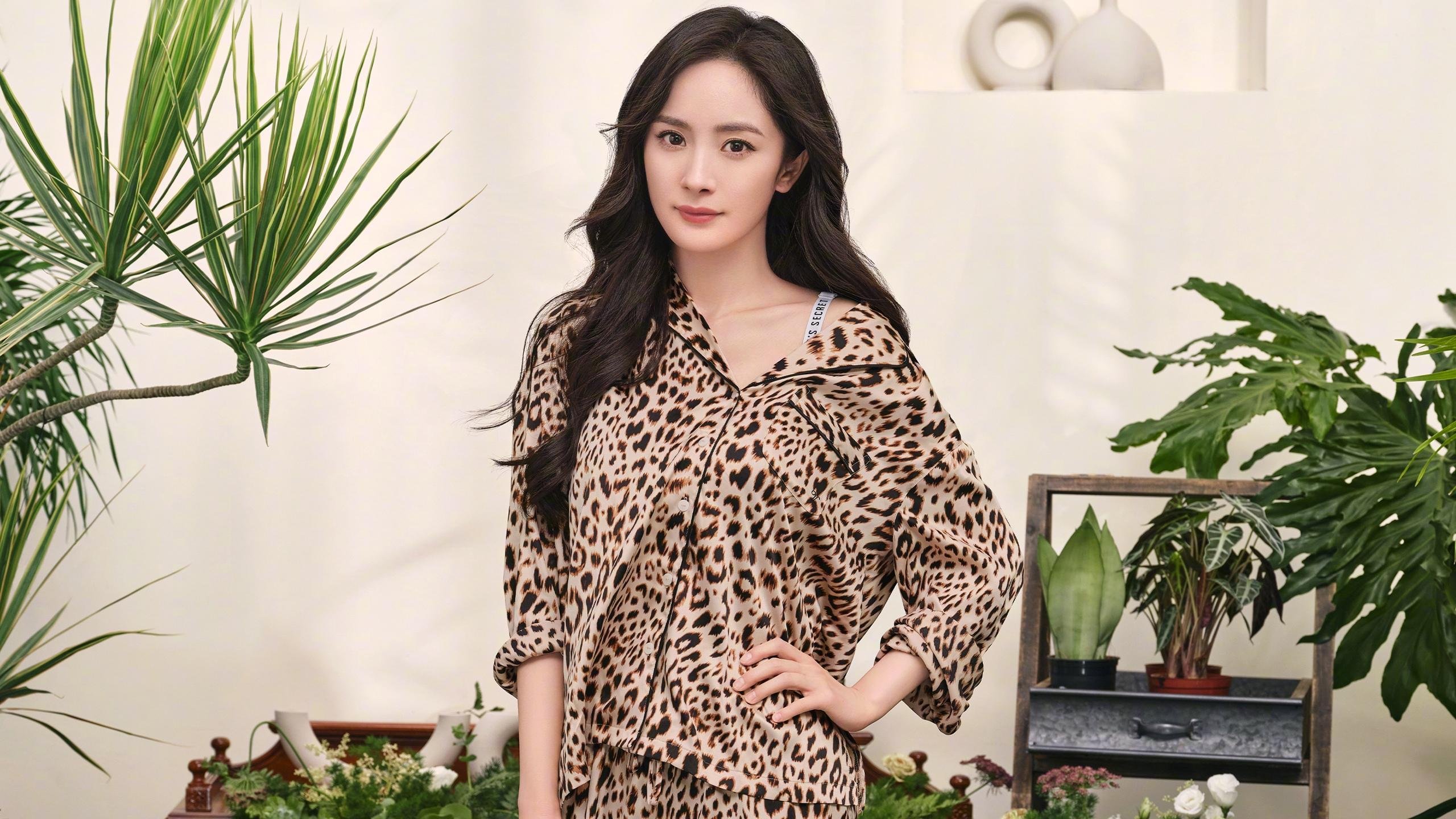 宿命的轮盘，2026世界杯B组关键战，伊朗风暴碾压波兰，托纳利独舞引领胜利