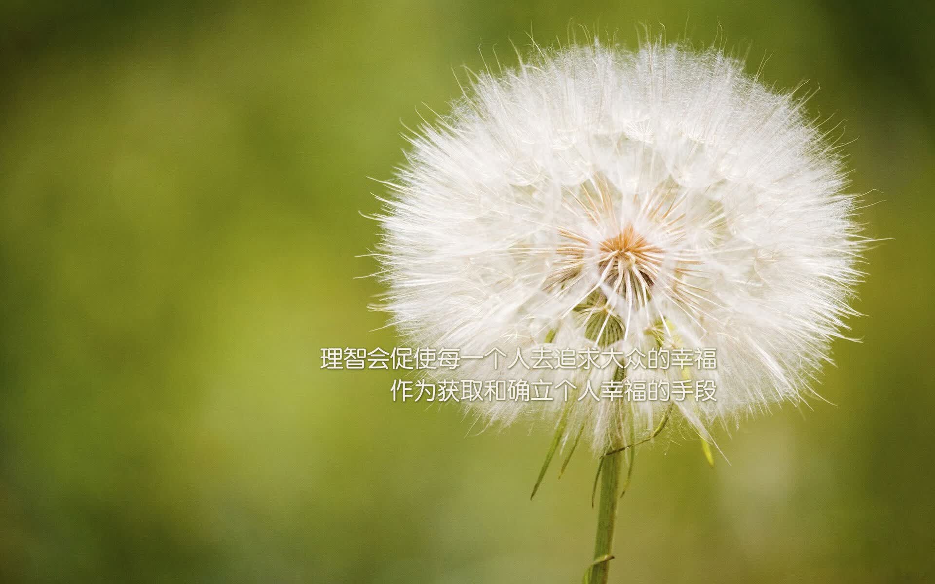 铁血之师震撼世界杯,摩洛哥完胜哥伦比亚,阿诺德用强硬对抗书写北非足球新传奇